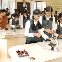 Senior-Secondary-Level