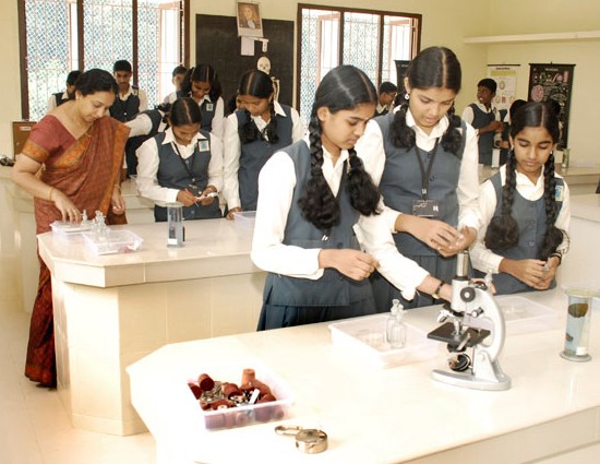 Senior-Secondary-Level